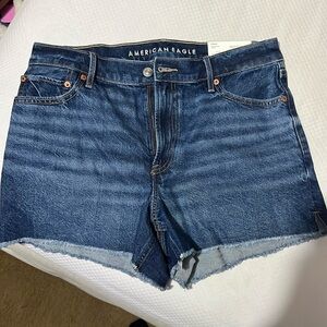 American Eagle Relaxed Short Size 10